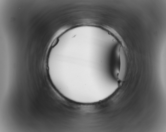 X0000084021285200703091940