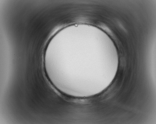 X0000084021286200703091940