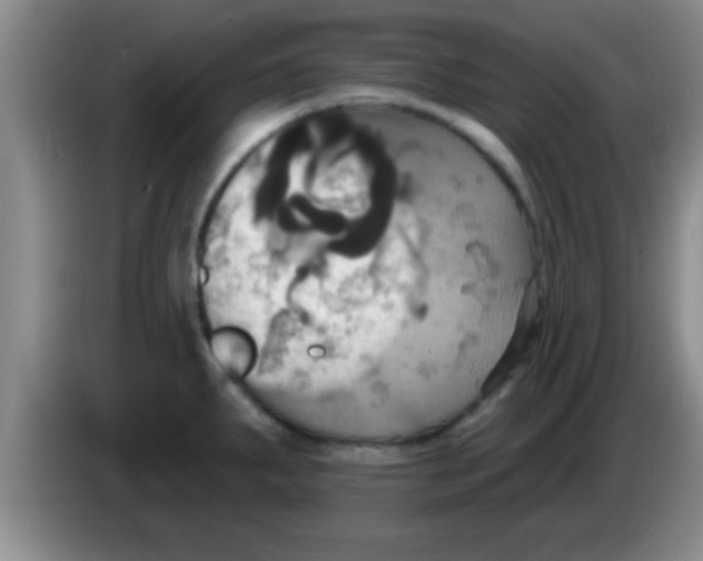 X0000084021287200703091940