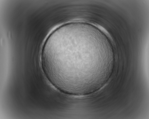 X0000084021288200703091940