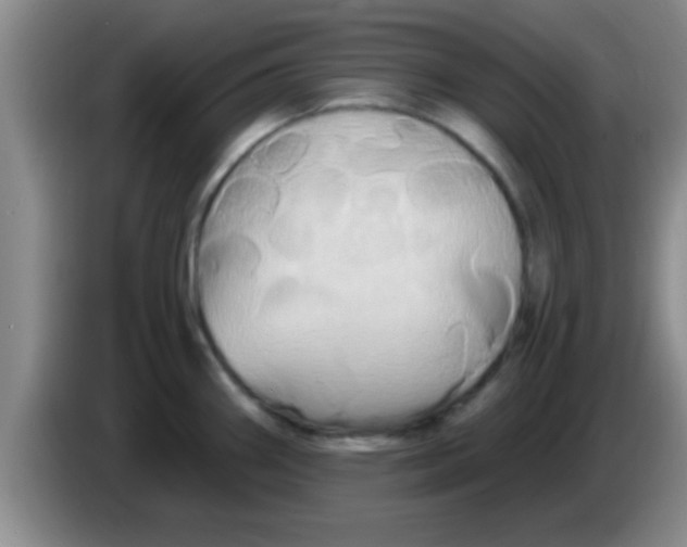 X0000084021290200703091940