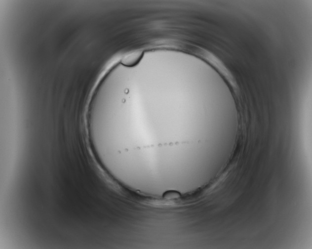 X0000084021291200703091940