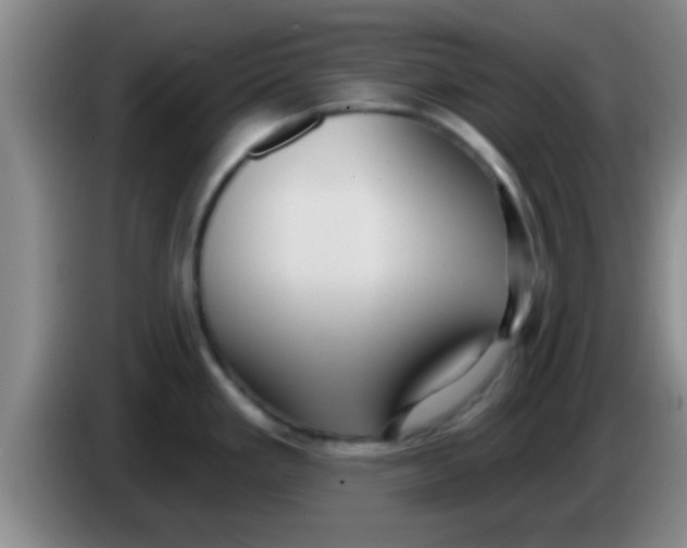 X0000084021293200703091940