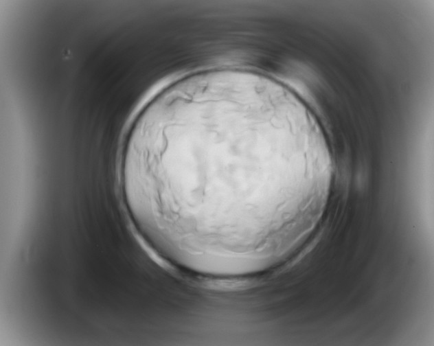 X0000084021294200703091940