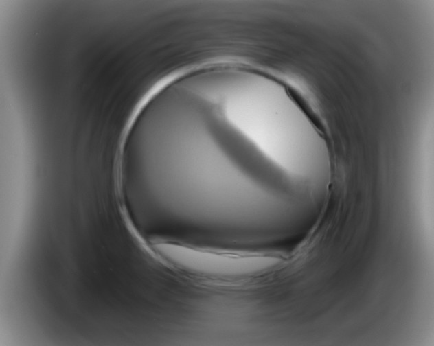 X0000084021295200703091940