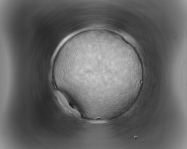 X0000084021296200703091940