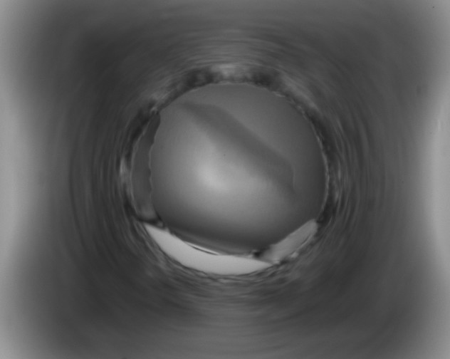 X0000084021298200703091939