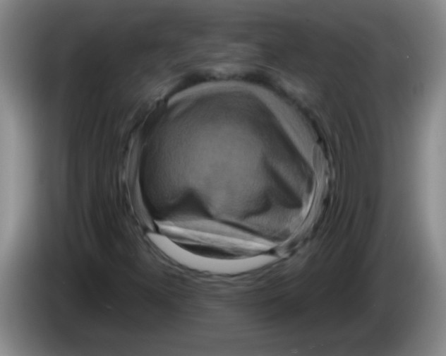 X0000084021300200703091939