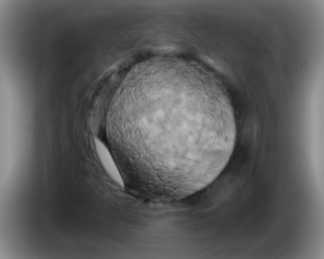 X0000084021301200703091939