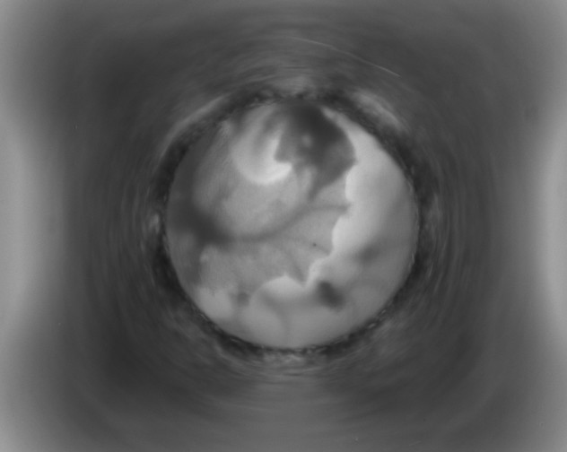 X0000084021302200703091939