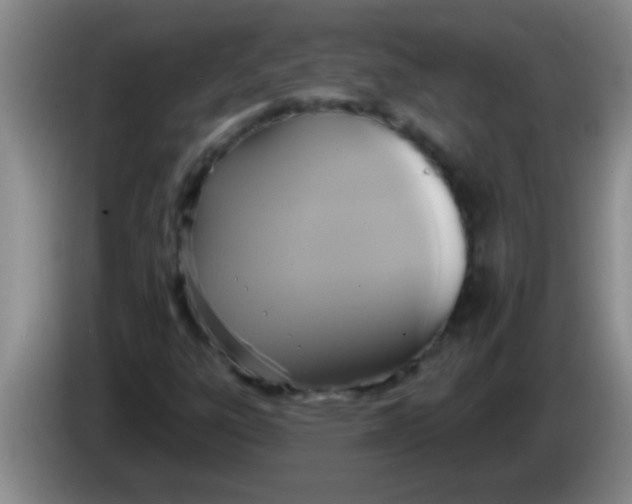 X0000084021303200703091939