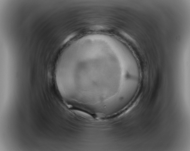 X0000084021305200703091939