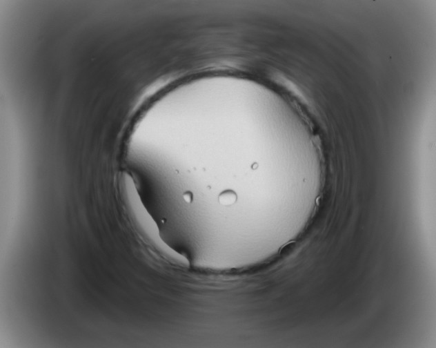 X0000084021308200703091939