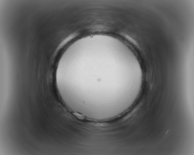 X0000084021309200703091939