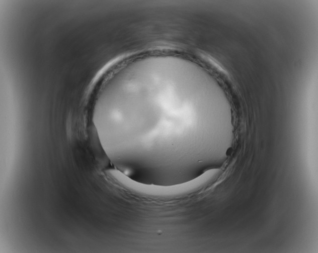 X0000084021310200703091939