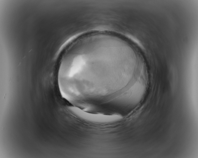 X0000084021311200703091939