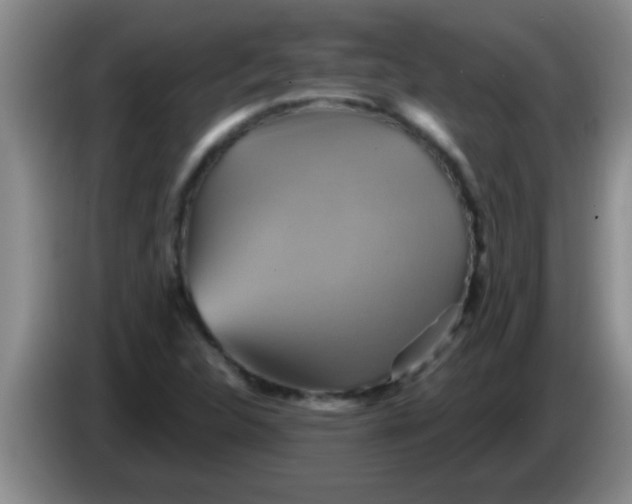 X0000084021312200703091939