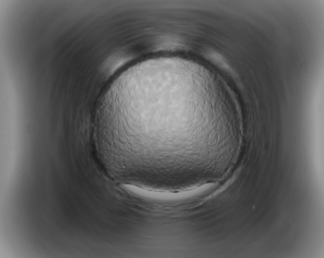 X0000084021313200703091939