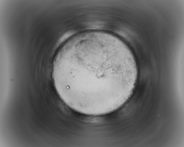 X0000084021314200703091939