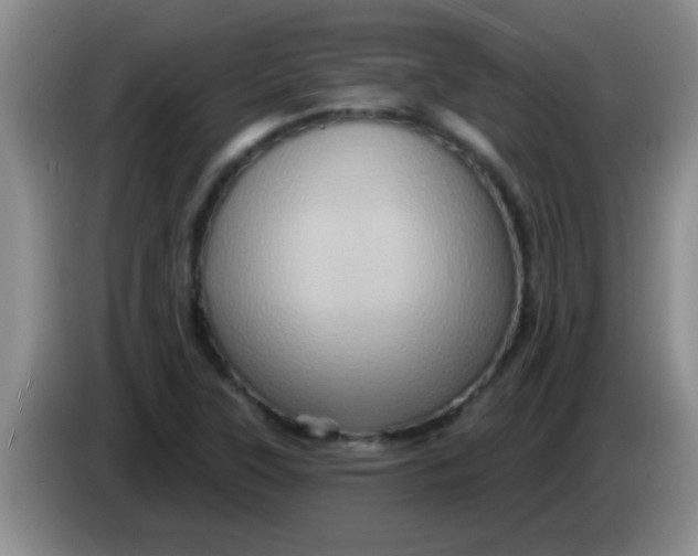 X0000084021315200703091939