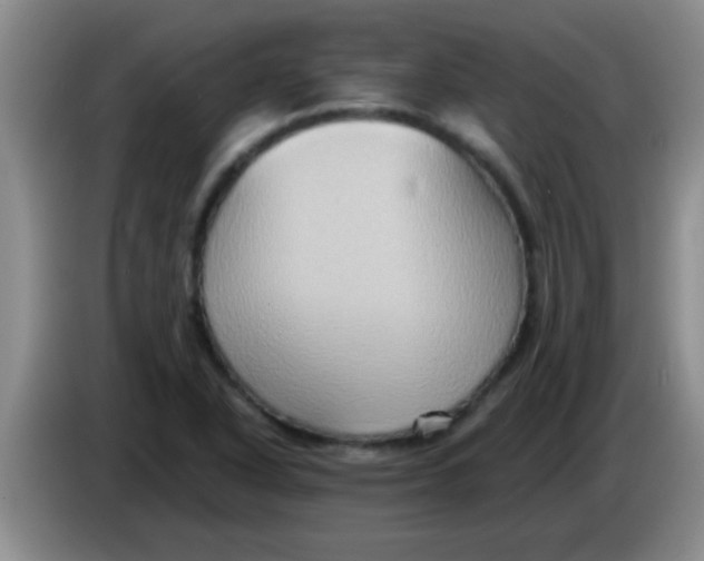 X0000084021318200703091939