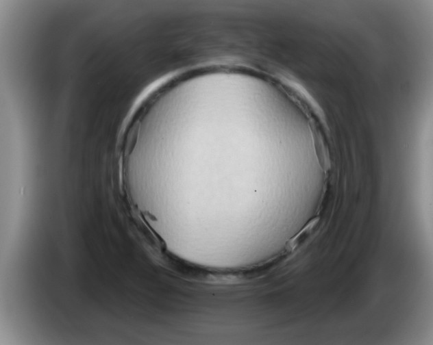 X0000084021320200703091939