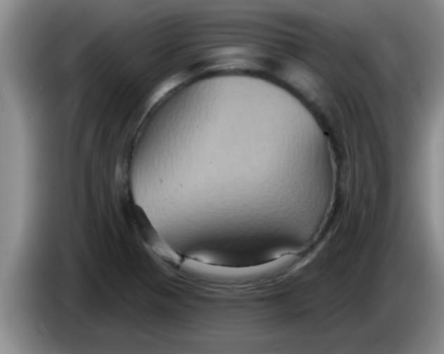 X0000084021321200703091939