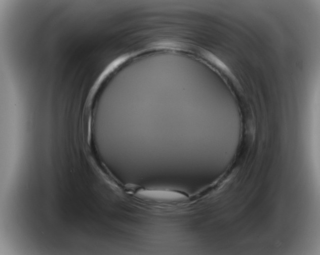 X0000084021323200703091940