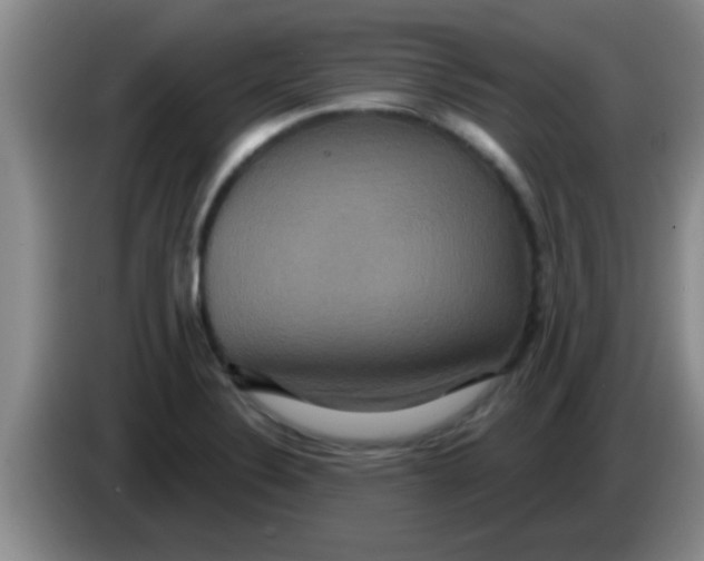 X0000084021324200703091940