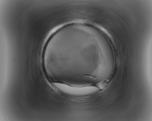 X0000084021327200703091940