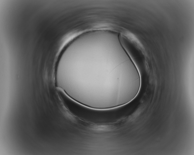 X0000084021328200703091940