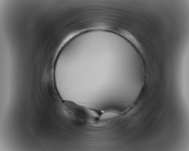 X0000084021332200703091940