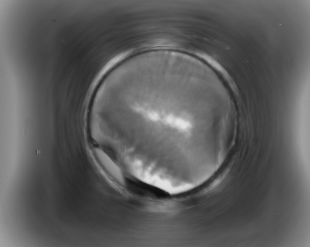 X0000084021333200703091940