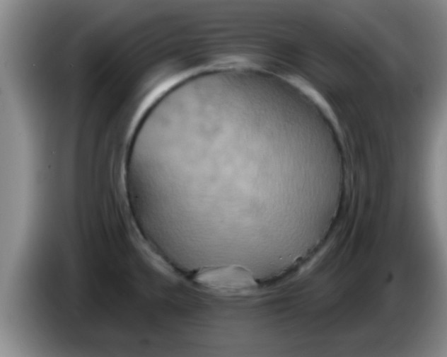 X0000084021336200703091940