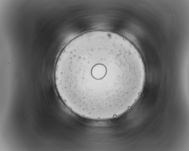 X0000084021338200703091940