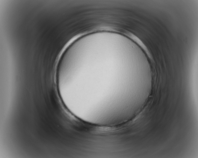 X0000084021339200703091940