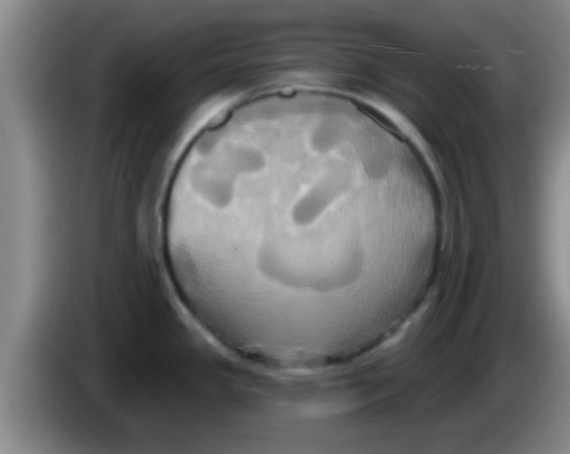 X0000084021341200703091940