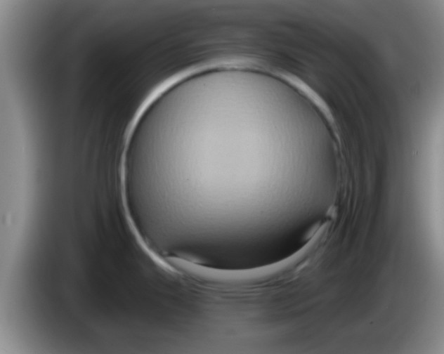 X0000084021343200703091940