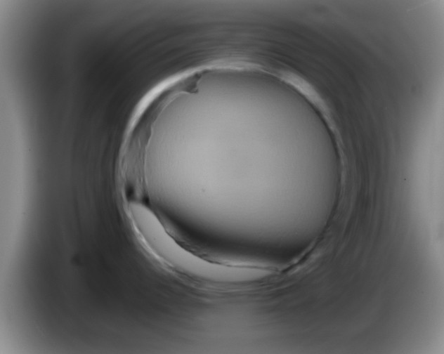 X0000084021344200703091940