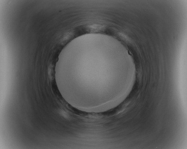 X0000084021346200703091939