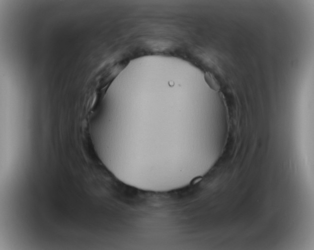 X0000084021349200703091939