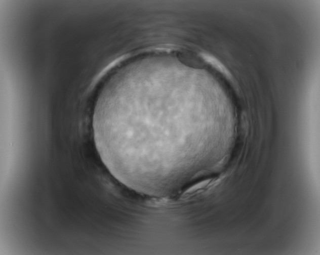 X0000084021352200703091939