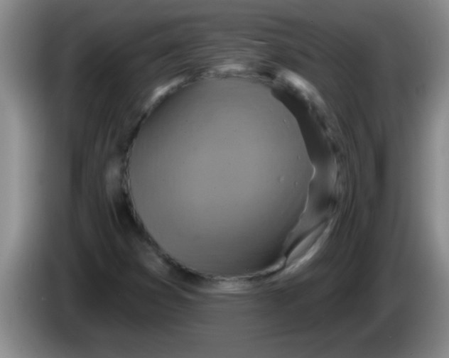 X0000084021353200703091939