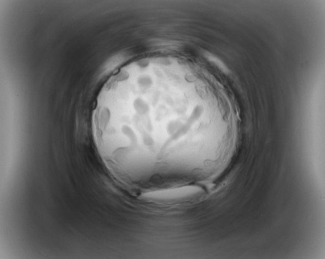 X0000084021354200703091939