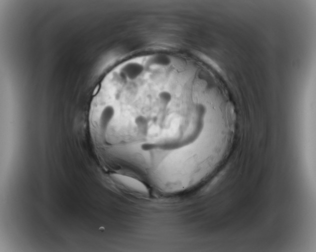 X0000084021355200703091939