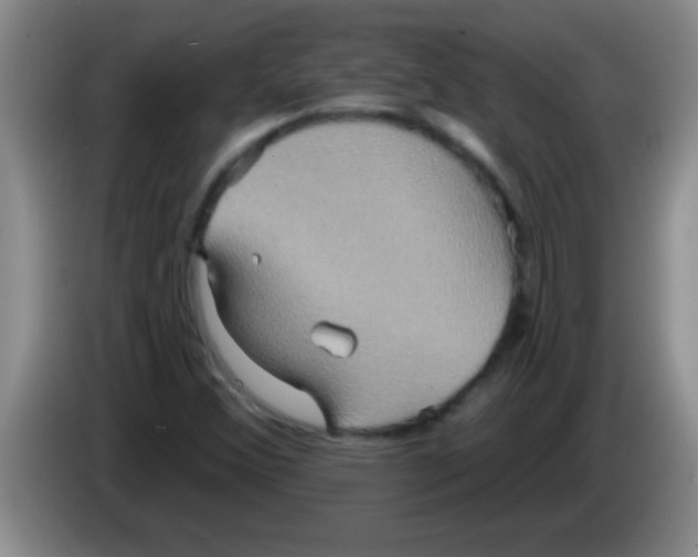 X0000084021356200703091939