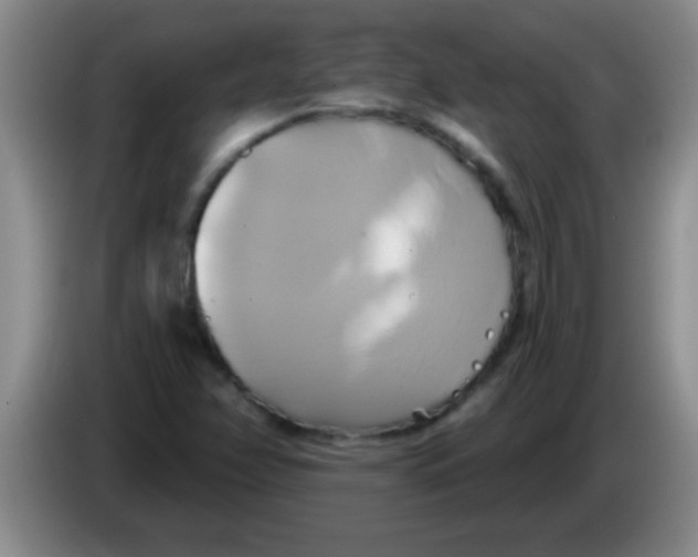 X0000084021358200703091939