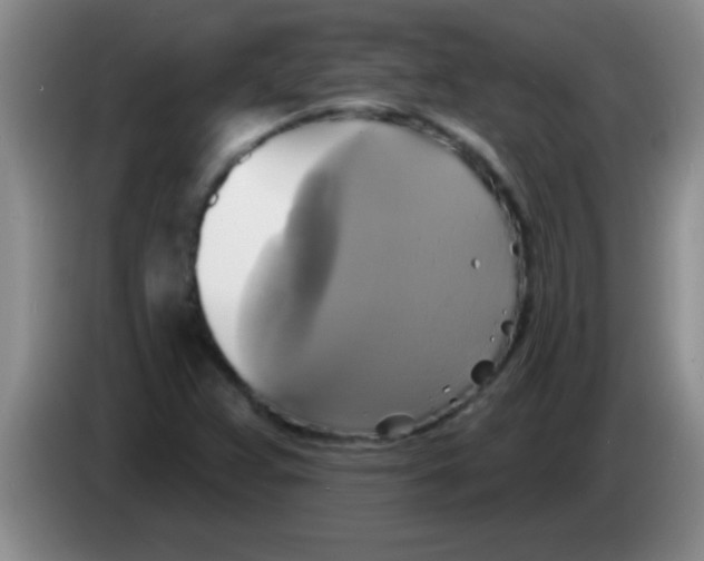 X0000084021359200703091939