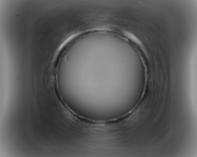 X0000084021360200703091939