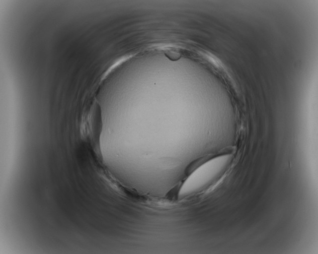 X0000084021361200703091939